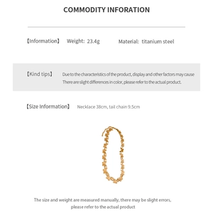 Detailed specs of titanium steel butterfly necklace weighing 23.4g with 38cm chain