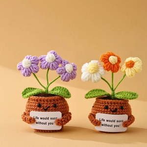 Detailed view of handmade crochet potted plants with tiny cute faces and positive quote cards