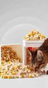 Gato atigrado comiendo premios liofilizados de pollo y yema, envase de 500g