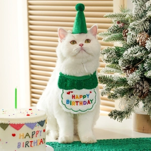 Detail of green felt pet birthday hat and white embroidered bib set for dogs and cats