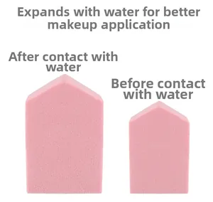 Macro view of house-shaped makeup sponges showing size expansion before and after water