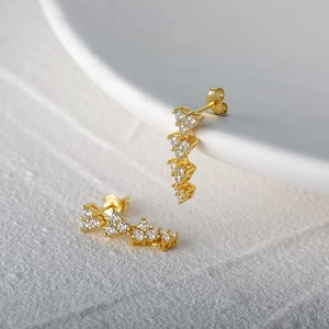 Macro view of gold S925 silver stud earrings with sparkling cubic zirconia clusters