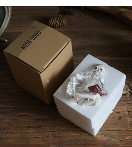 Detailed view of skeleton figurine packaging with protective foam and kraft storage box