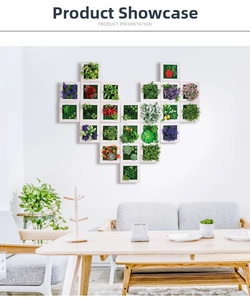 Wall-mounted succulent plant frames arranged in a heart shape on a modern white wall