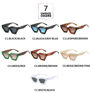 Collection of minimalist cat-eye sunglasses in seven trendy colors with sleek plastic frames