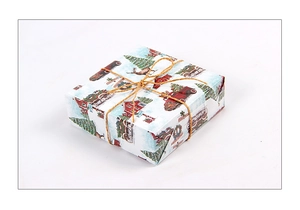 Detail of Christmas gift box featuring vintage red truck and tree prints with hemp rope