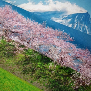 Close-up of bohemian Mount Fuji tapestry showing detailed woven fabric texture and cherry blossom print