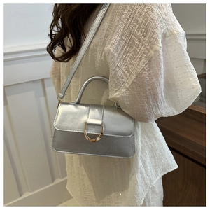 Detailed view of silver metallic handbag featuring a golden semi-circular buckle and handle