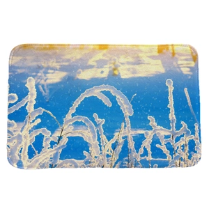 Rectangular winter snow scenery flannel absorbent doormat with artistic frosted plants