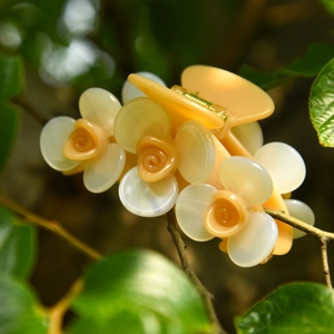 Gros plan d'une pince à cheveux en acétate rose avec fleurs blanches sur une branche