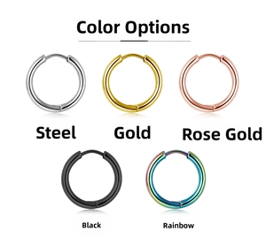 Titanium steel hoop earrings in silver, gold, rose gold, black, and rainbow colors