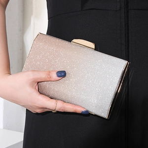 Sparkling gradient champagne and silver evening clutch bag with elegant gold metal clasp