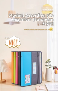 Dettaglio del raccoglitore a 13 tasche con schede colorate e slot per biglietto da visita