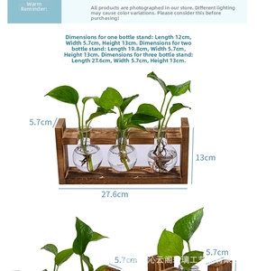 Detailed view of wood frame hydroponic vases with sphere glass bulbs and dimensions