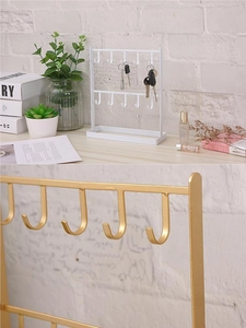 Close-up of dual-row metal jewelry stand hooks in gold and white for necklaces
