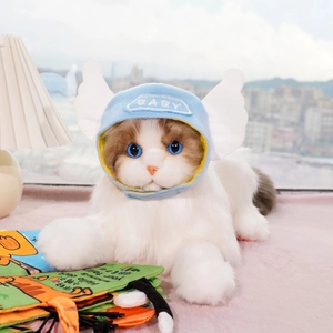 Close-up of plush cat toy wearing a blue baby hat with wings and a yellow lining