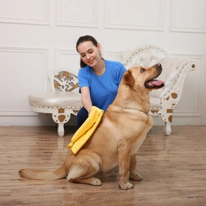 Absorbent yellow pet towel for dogs and cats being used on a golden retriever