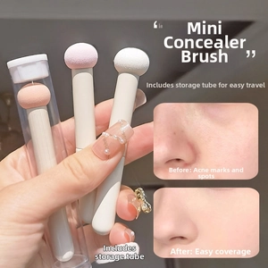 Mini mushroom head sponge concealer brush set with storage tube for dark circles