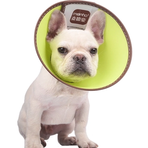 Protective pet cone collar with green waterproof lining on a white French Bulldog