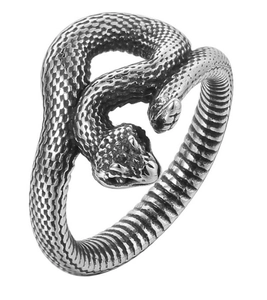 Close-up of vintage silver snake ring detailing intricate scales and punk metal texture