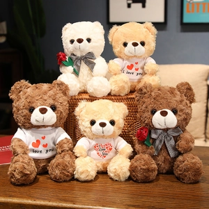 Rose Texture Teddy Bear Plush Toy Stuffed Animal Holding Flower Or Wearing Heart T-Shirt Romantic Gift For Girls