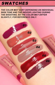 Arm swatches of 6 glossy lip glaze shades with numbers 01 to 06 on a pink background