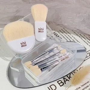 Portable 6-piece mini makeup brush set with soft bristles and clear storage case