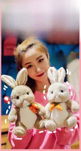 Detailed close-up of plush rabbit toys with carrot accessories in brown and cream colors
