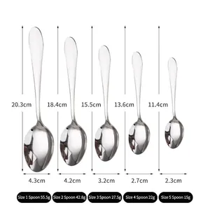 Tableau de comparaison de cinq tailles différentes de cuillères à dîner en acier inoxydable