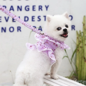 Detail view of purple floral pet harness with lace trim and matching leash