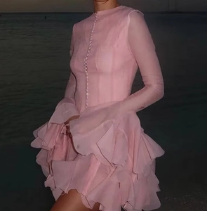 Detail of pink long sleeve dress with ruffled hem and button-up front in sunset lighting