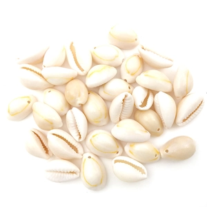 Natural cream white cowrie shells 12-16mm with pre-drilled holes for jewelry DIY