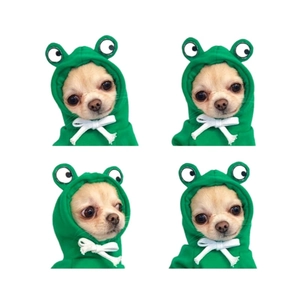 Green frog-shaped knitted pet hat for small dogs and cats shown in multiple views