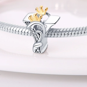 Macro shot of silver letter Y bead with gold crown and zircon on snake chain