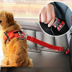 Dettaglio della cintura di sicurezza regolabile in nylon rosso per cani fissata all'imbracatura