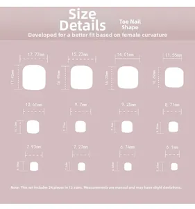 Detailed size chart for daisy toe nails featuring 24 pieces in 12 different dimensions