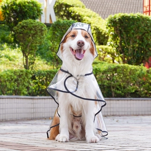 Close-up of waterproof transparent dog raincoat with black trim and protective hood design