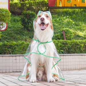 Transparent large dog raincoat with green trim shown on a dog in an outdoor park