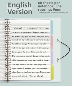 Detail of 30-hole binder refill with 9mm ruled paper, 5-color indexes and metal rings