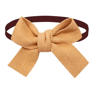 Macro detail of woven cotton pet bowtie in autumn tones with elastic strap