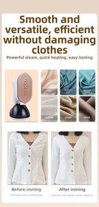 Detail showing hand-held garment steamer results on silk, cotton, and linen fabrics