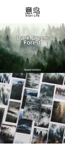 Detail of forest theme sticker set in box featuring dark green nature photography