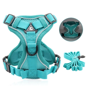 Adjustable reflective mesh pet harness and leash set in cyan for small dogs and cats