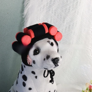 Close-up of funny pet hat with orange sponge rollers on black knit fabric for cats and dogs