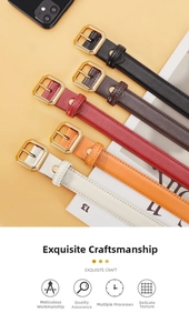 Detailed close-up of five colorful leather belts with golden octagonal pin buckles