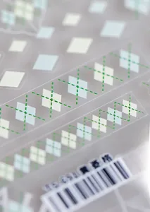 Macro shot of thin TS-031 nail art sticker featuring a green and white argyle pattern