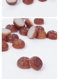 Macro detail of 1.3cm miniature mushroom models with realistic cross-cut texture and white core