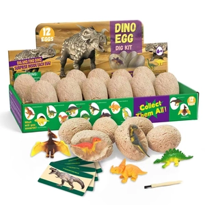 Educational 12pcs dinosaur egg excavation kit for kids with tools and info cards