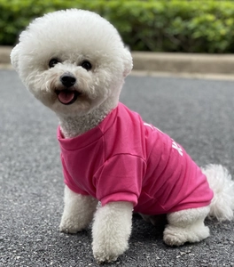Close-up of pink dog T-shirt with white letters on a small pet in a natural park