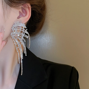 Macro view of long rhinestone tassel earrings featuring wing-shaped hollow mesh design